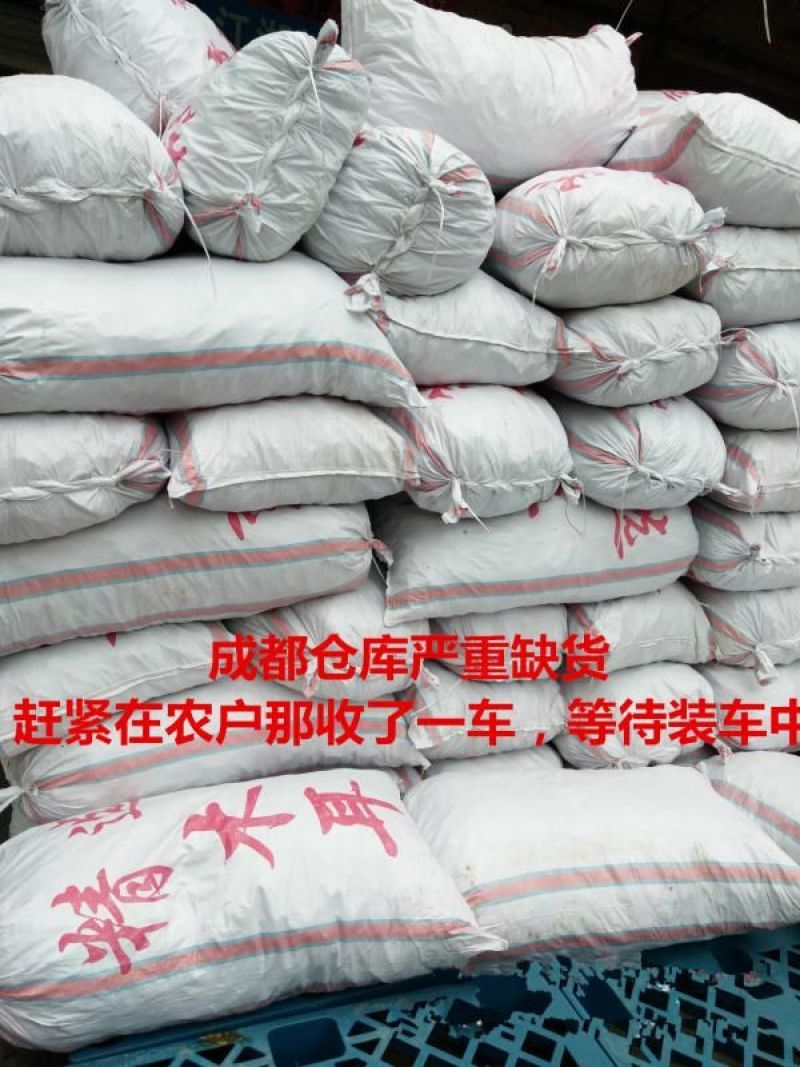毛木耳地摊干货木耳基地直发