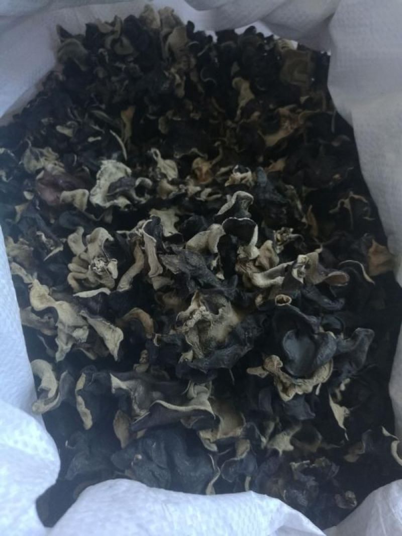 毛木耳地摊干货木耳基地直发
