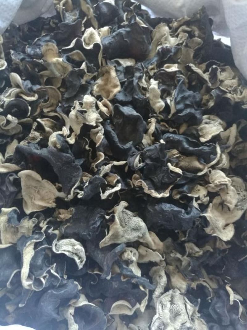 毛木耳地摊干货木耳基地直发
