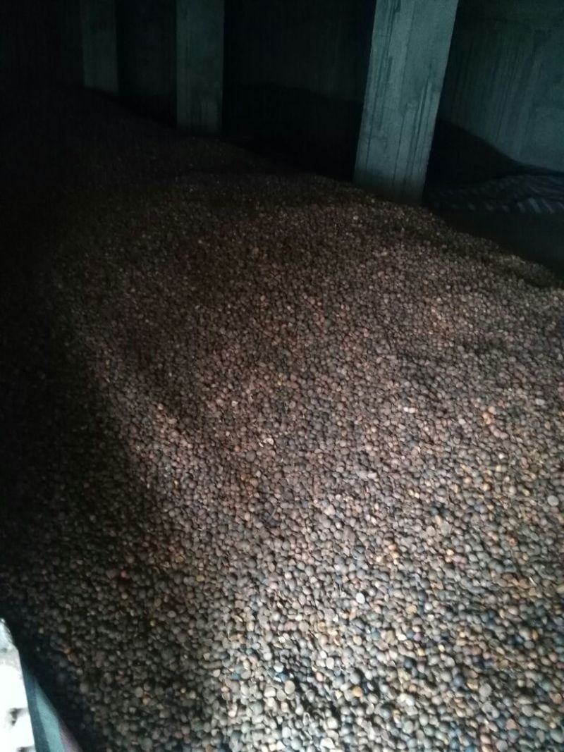 油茶籽95%以上
