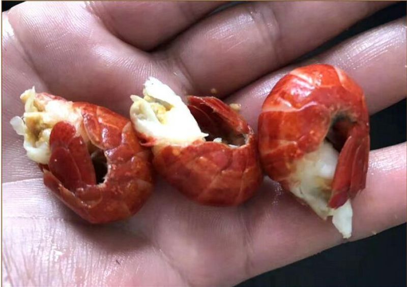 小龙虾虾尾