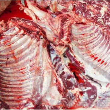 驴肉新鲜带皮驴肉驴副产品