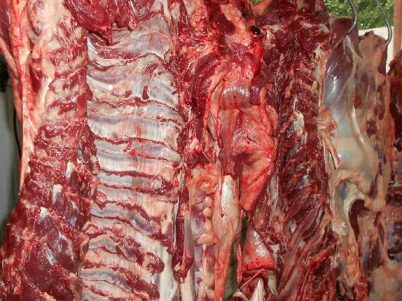 驴肉新鲜带皮驴肉驴副产品