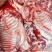 马肉新鲜马肉，马副产品