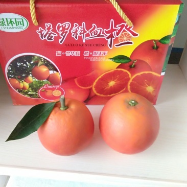 资中血橙65~70mm预售电商供货代办代收一件供应链