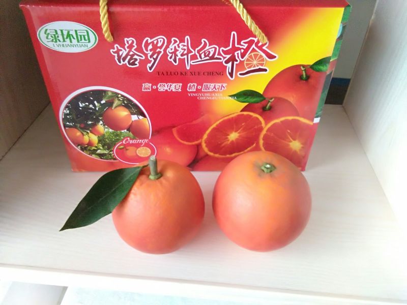 资中血橙65~70mm预售电商供货代办代收一件供应链