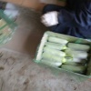 山东省德州市平原县桂彬蔬菜种植专业合作社的一亩田店铺