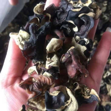 水洗木耳，无添加，一斤泡8斤左右........包邮..