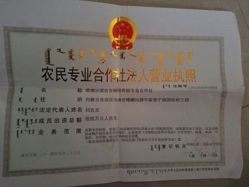 防风种子