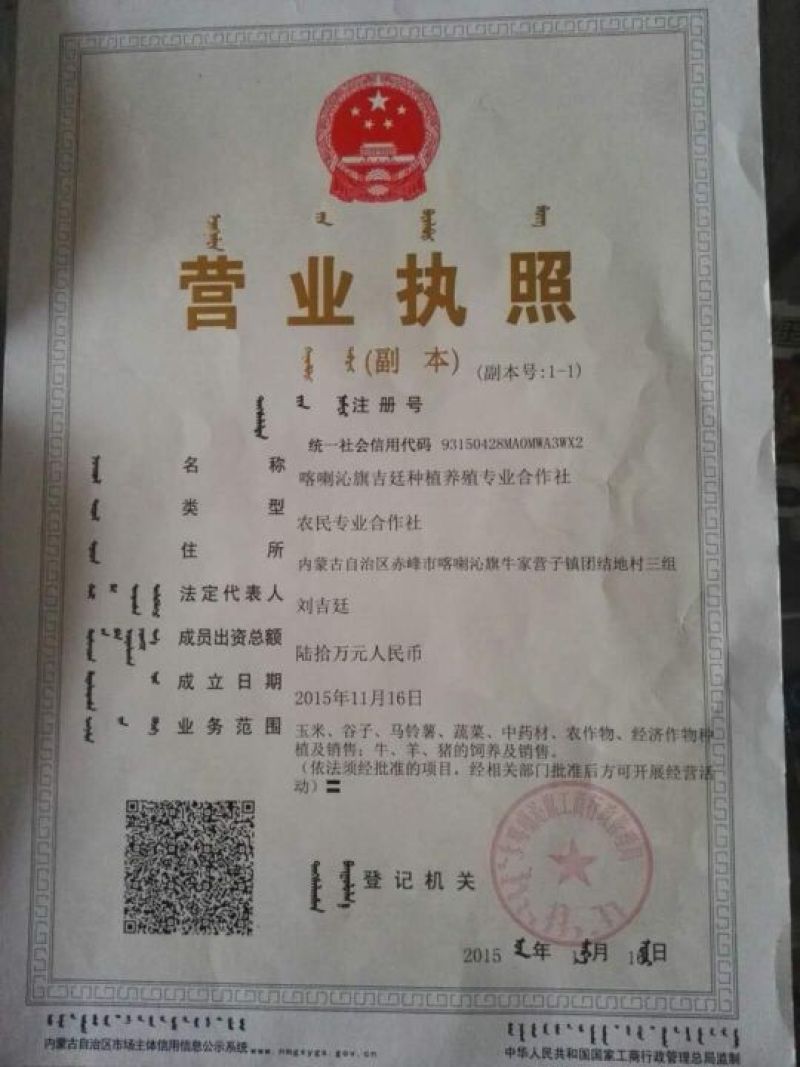 防风种子