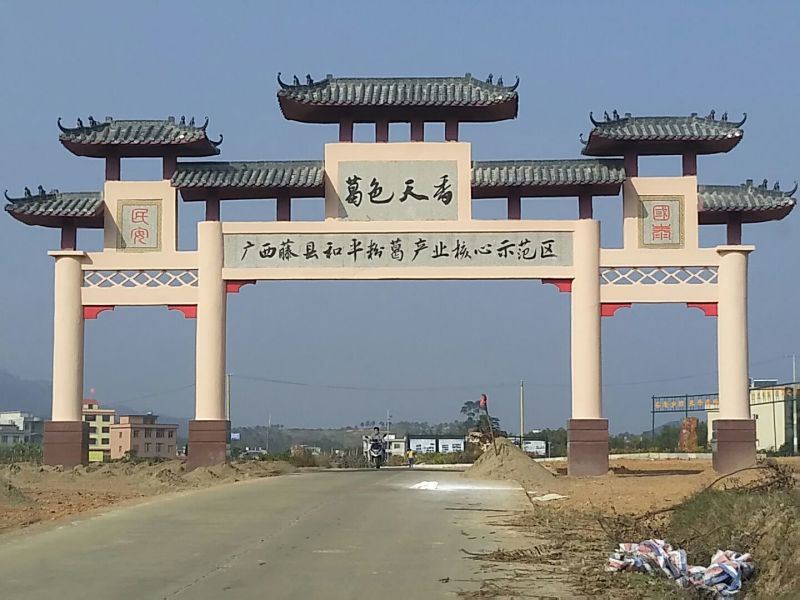 葛根产地直销葛根粉非野生葛根粉纯葛根粉包邮