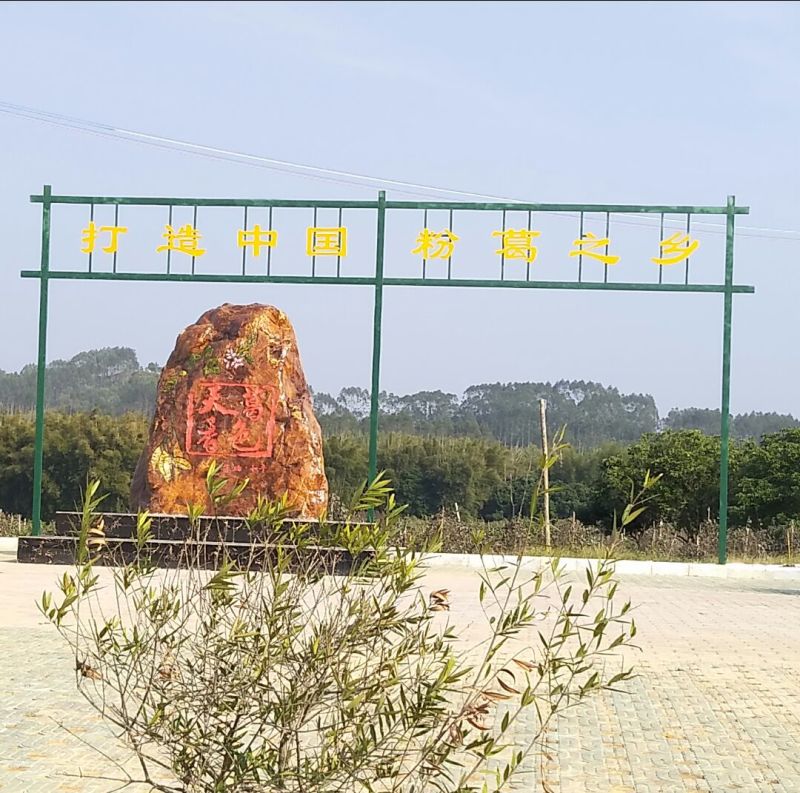 葛根产地直销葛根粉非野生葛根粉纯葛根粉包邮