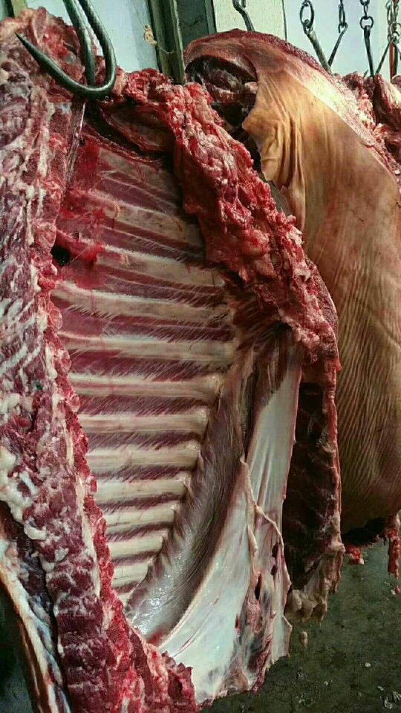 驴肉鲜货