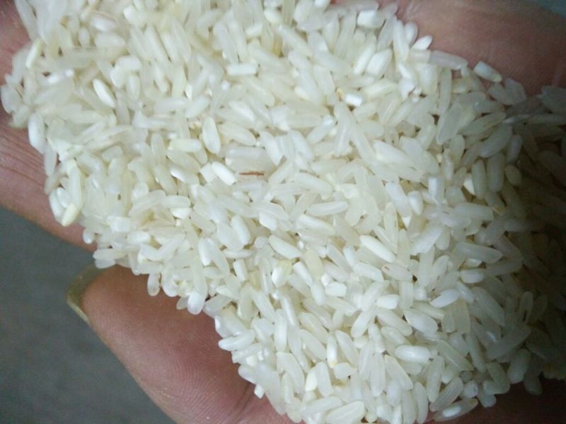 大米三级陈米