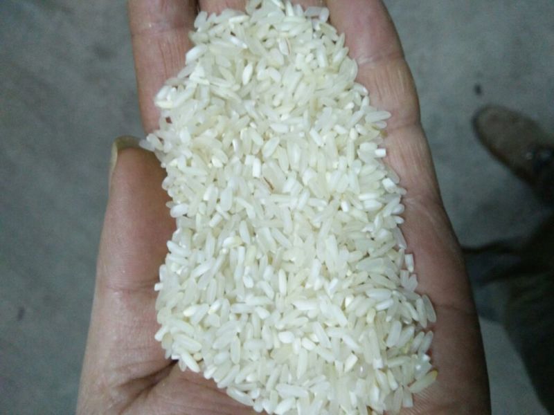 大米三级陈米