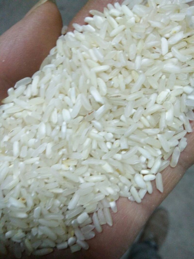 大米三级陈米