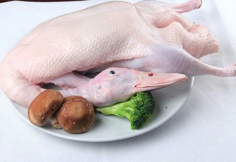 白条鸭