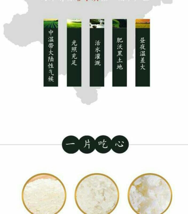 稻花香大米新米特级