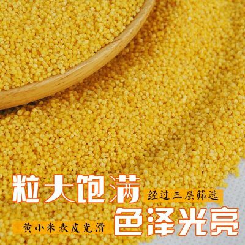 金谷米袋装