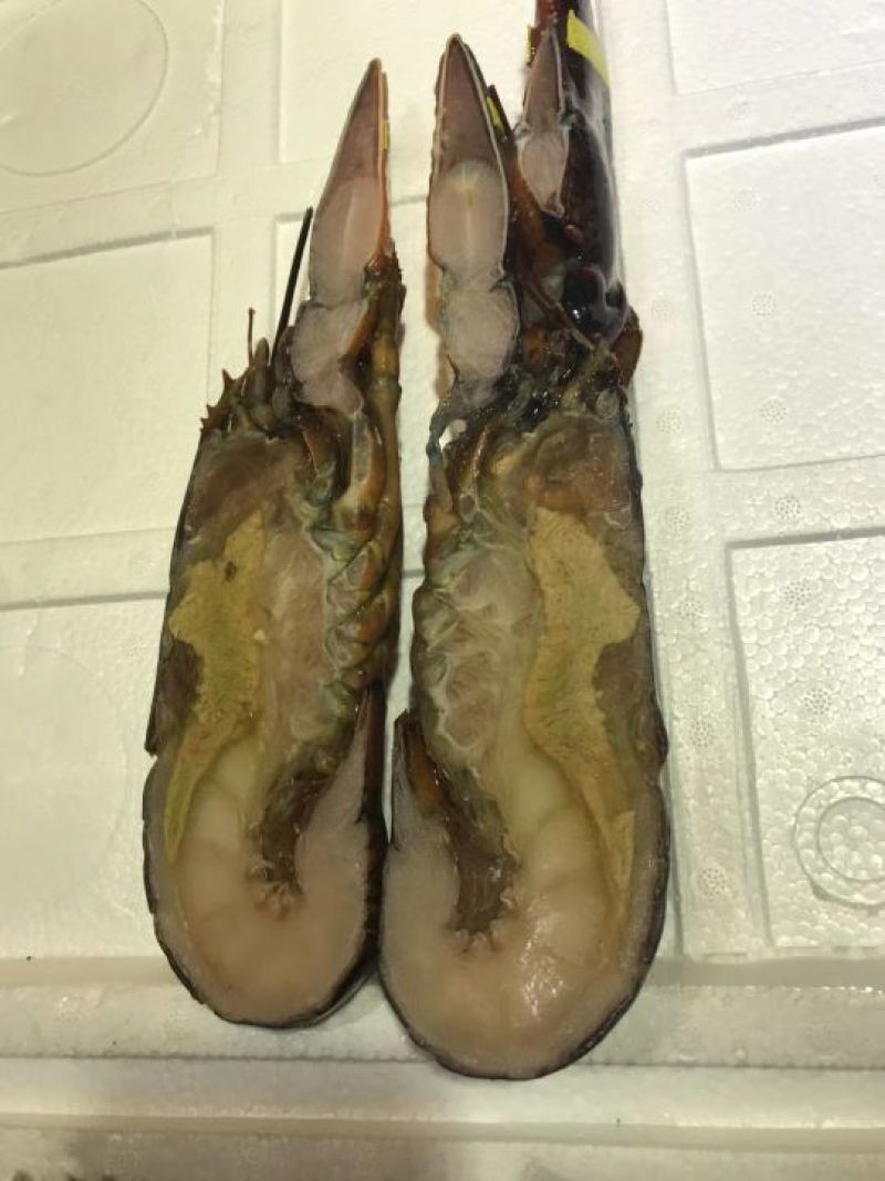 干瑶柱