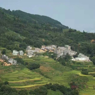 山地合作1001~5000亩10~30年