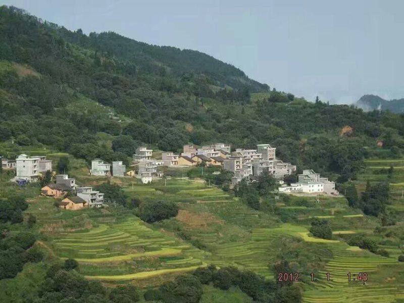 山地合作1001~5000亩10~30年
