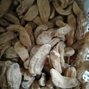 天麻一级