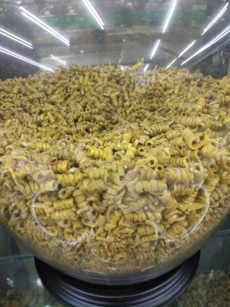 铁皮石铁皮龙头凤尾100起批无硫无添加包邮