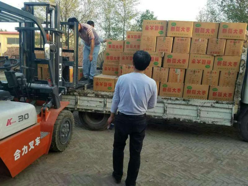 新疆骏枣和田大枣皮薄核小无硫厂家批发电商支持代发