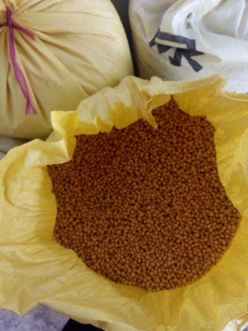 黄黄豆优质黄豆，黄豆