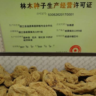 天麻，乌天麻，小草坝天麻，昭通天麻