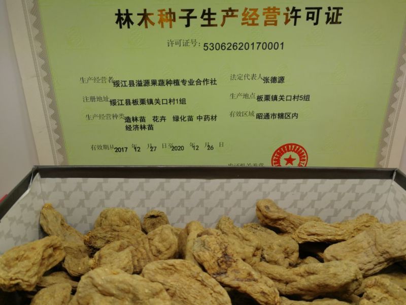 天麻，乌天麻，小草坝天麻，昭通天麻