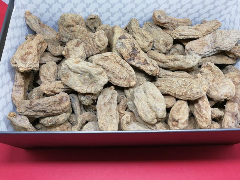 天麻，乌天麻，小草坝天麻，昭通天麻