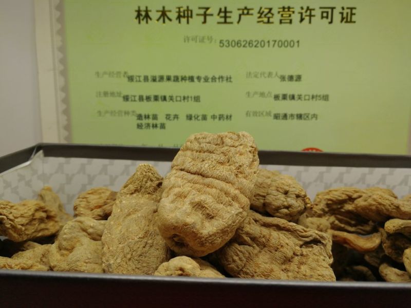 天麻，乌天麻，小草坝天麻，昭通天麻
