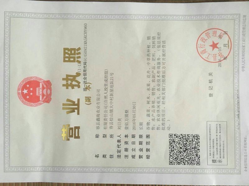 西瓜芭乐红肉番石榴苗营养袋苗