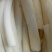 通草