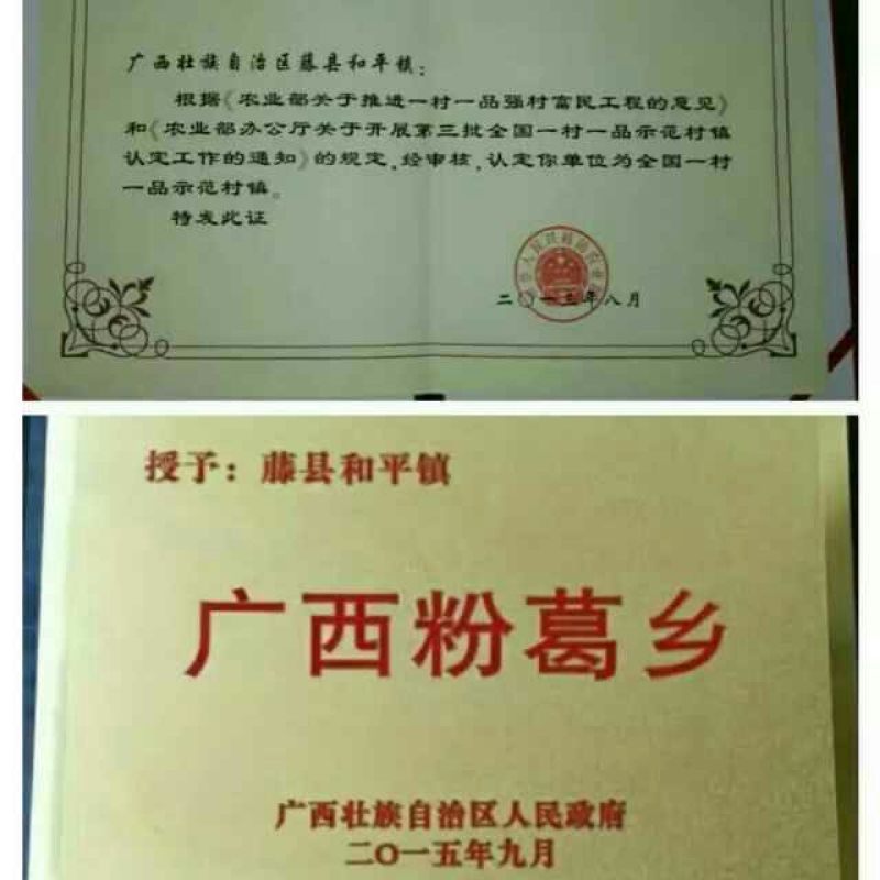 葛根种苗