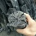 果木碳95%以上栎木炭