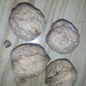 薄皮核桃30~35mm去皮干