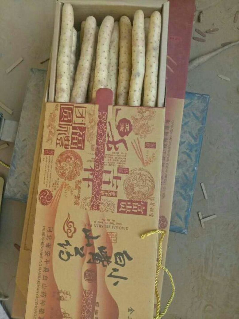 小白嘴白山药2~3厘米特级手捡50~70厘米