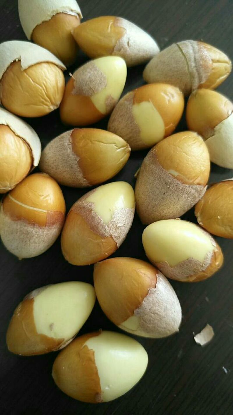 银杏果