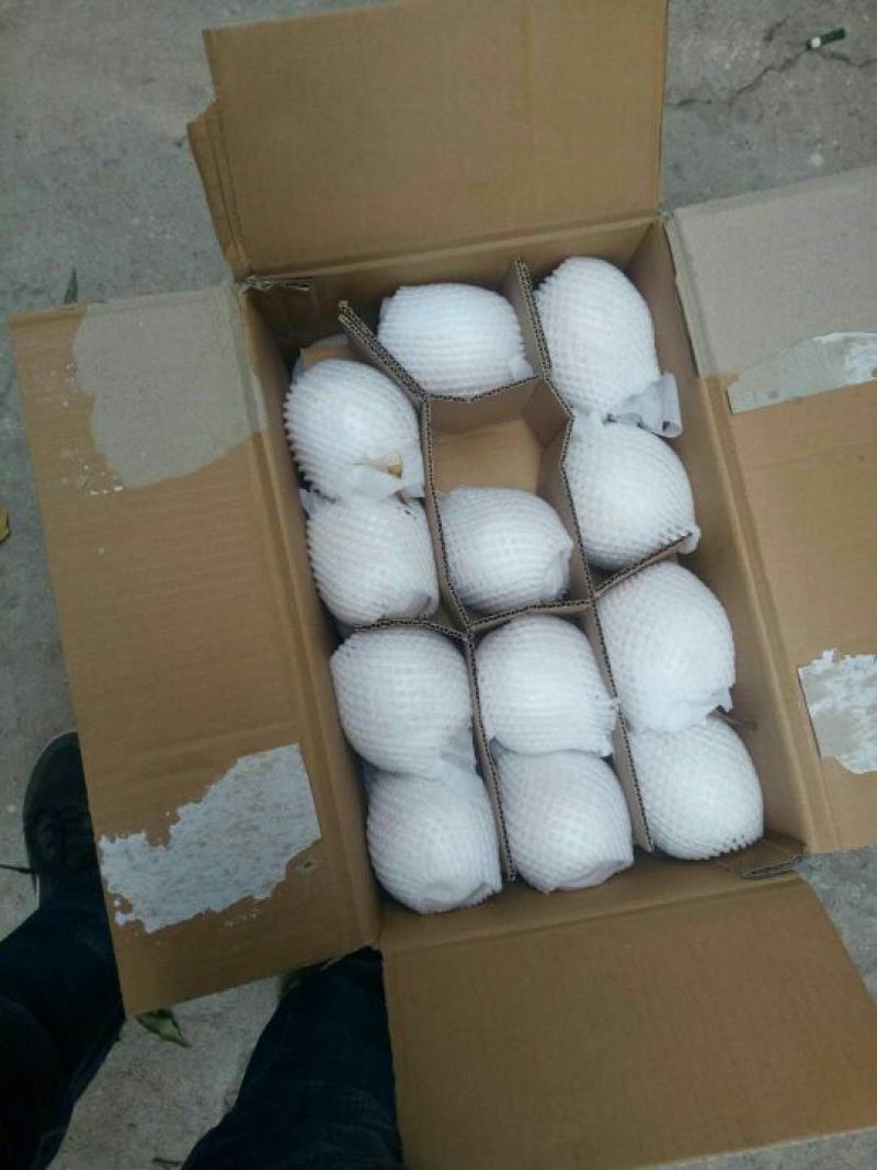 水晶梨纸袋250~300g