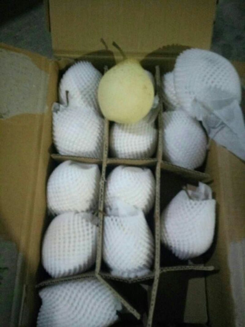 水晶梨纸袋250~300g