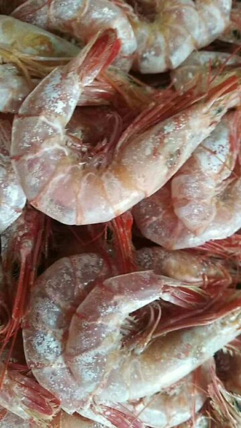 对虾干
