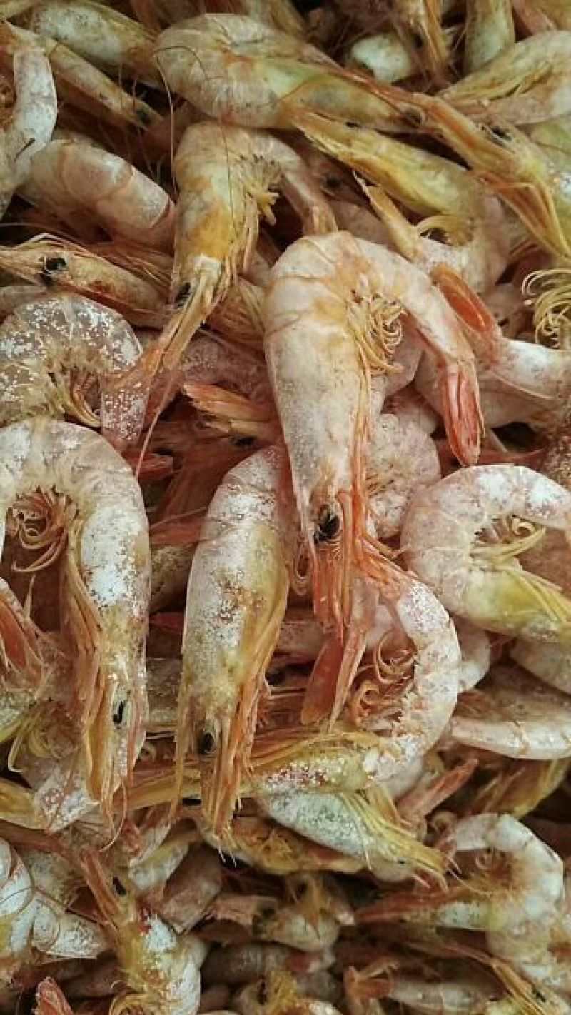 对虾干