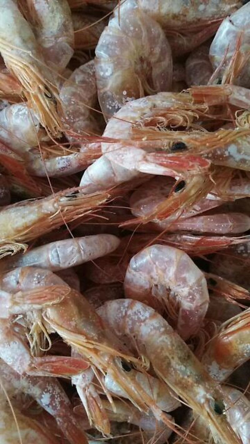对虾干