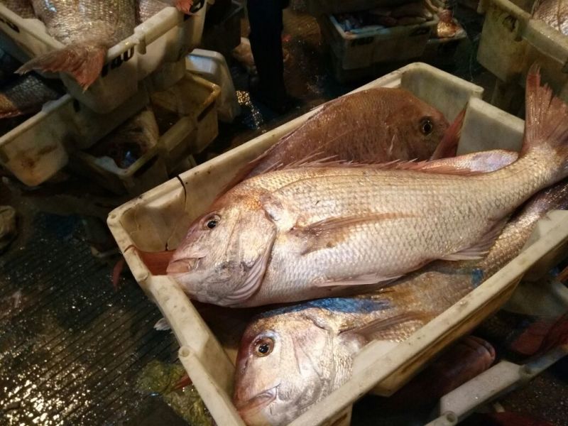 红虾干