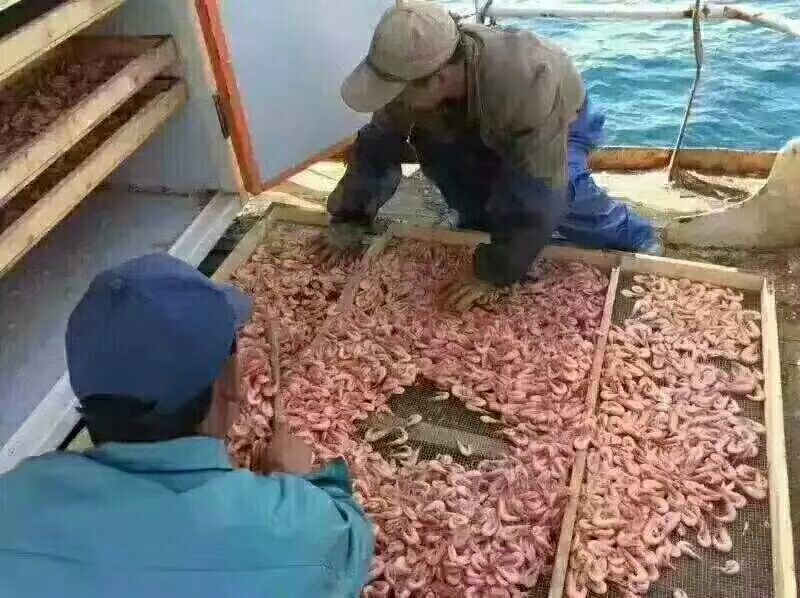 对虾干