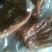 驴肉冻货
