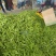 荷兰豆饱满大量上市需要的联系